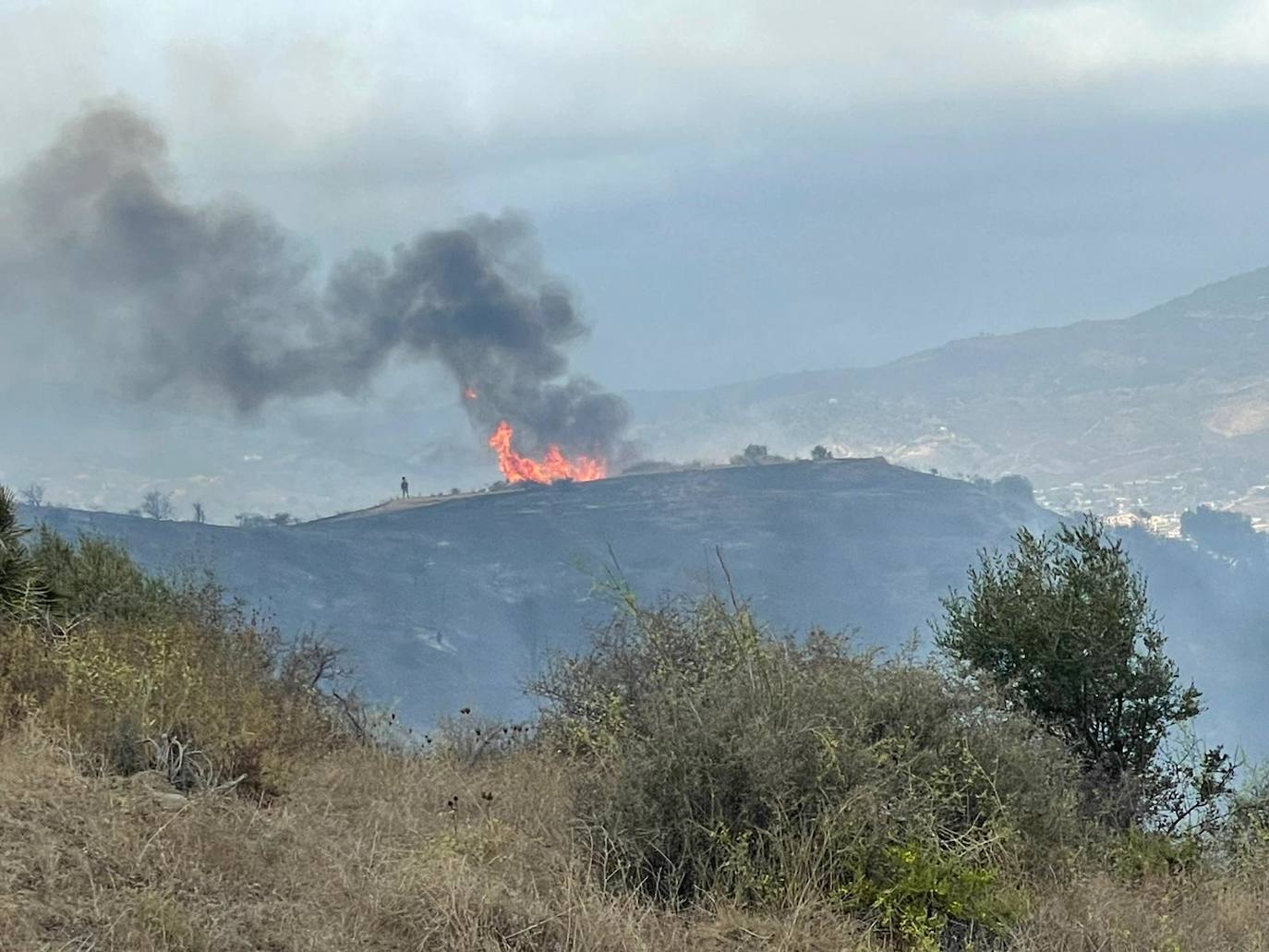 Controlado el incendio forestal en Mijas