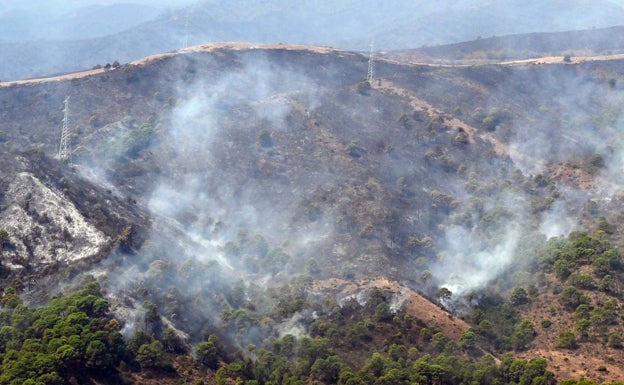 Ecologistas en Acción pide que se controle la caza en el entorno del área afectada por el incendio de Sierra Bermeja