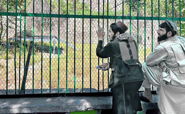 El zoo de Kabul, la última conquista de los talibanes