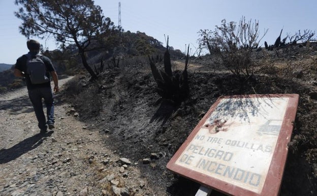 El PSOE-A exigirá «explicaciones» a la Junta en el Parlamento por el incendio en Sierra Bermeja