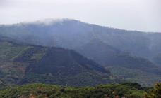 Vecinos del Valle del Genal crearán una plataforma a raíz del incendio forestal de Sierra Bermeja