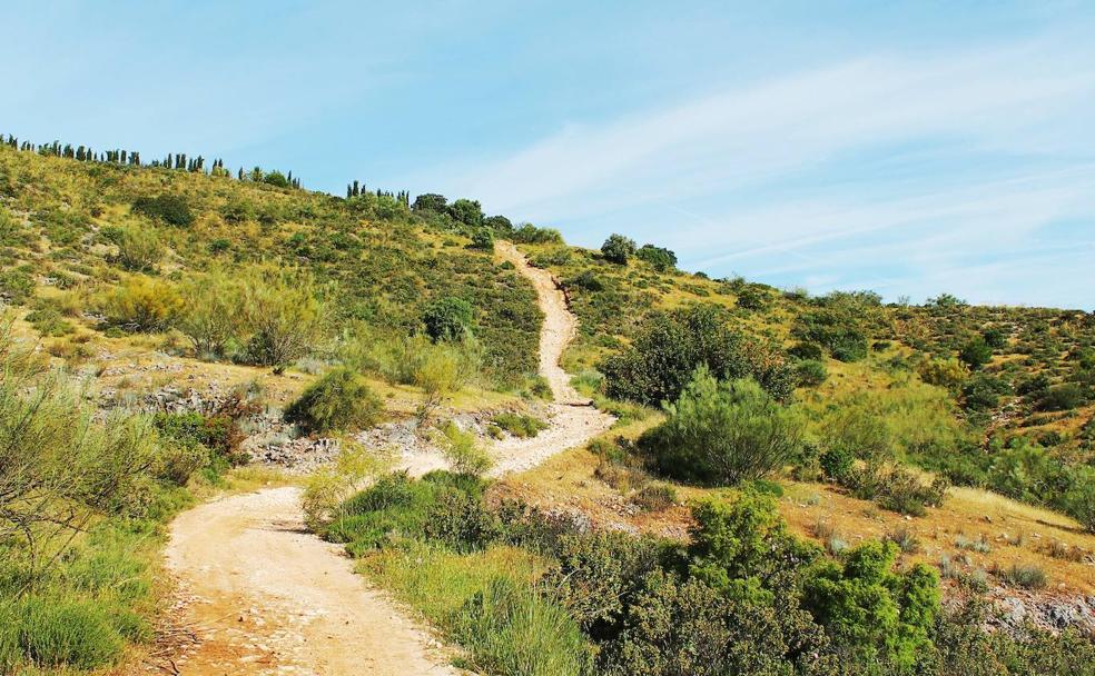 Ruta de senderismo: Sendero de la Alfaguara de Coín