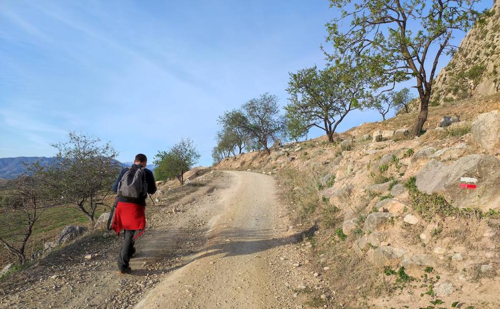 Ruta de senderismo: Sendero del Nacimiento (Valle de Abdalajís)