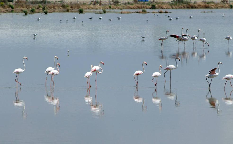 Senderismo: Ruta de las Lagunas de Campillos