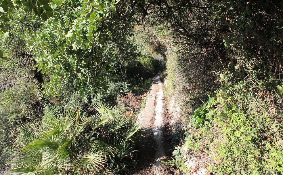 Senderismo: Sendero del Tajo Negro