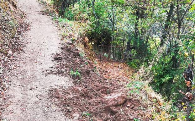 Vecinos del Valle del Genal recogen firmas contra la «plaga» de cerdos asilvestrados