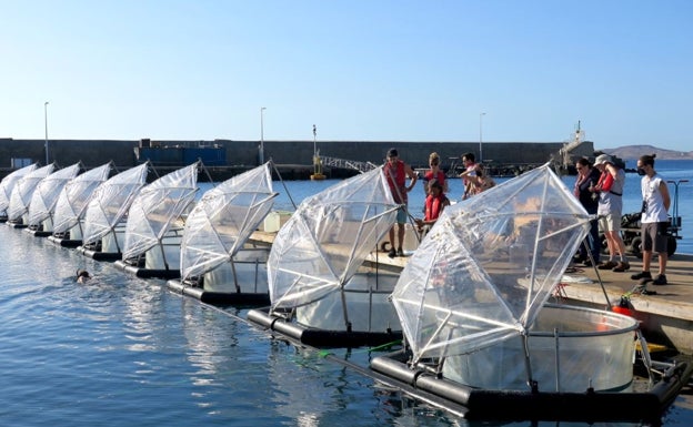 Científicos de la UMA trabajan en un experimento mundial en el mar contra el cambio climático