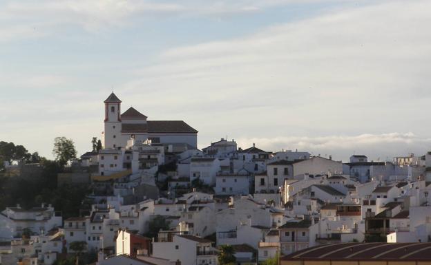 Alozaina, el paraíso de la aceituna de mesa