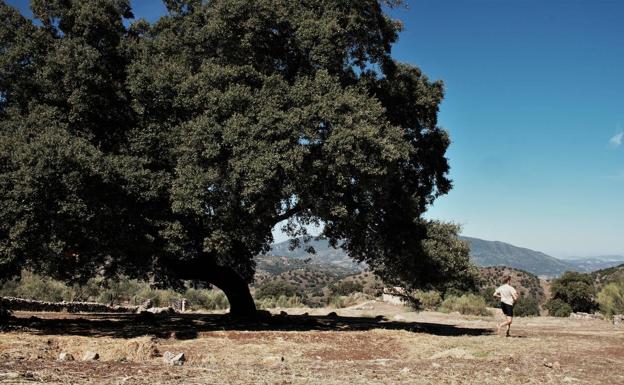 La II Eco Maratón La Donaira donará fondos a los afectados por el incendio de Sierra Bermeja y el Valle del Genal