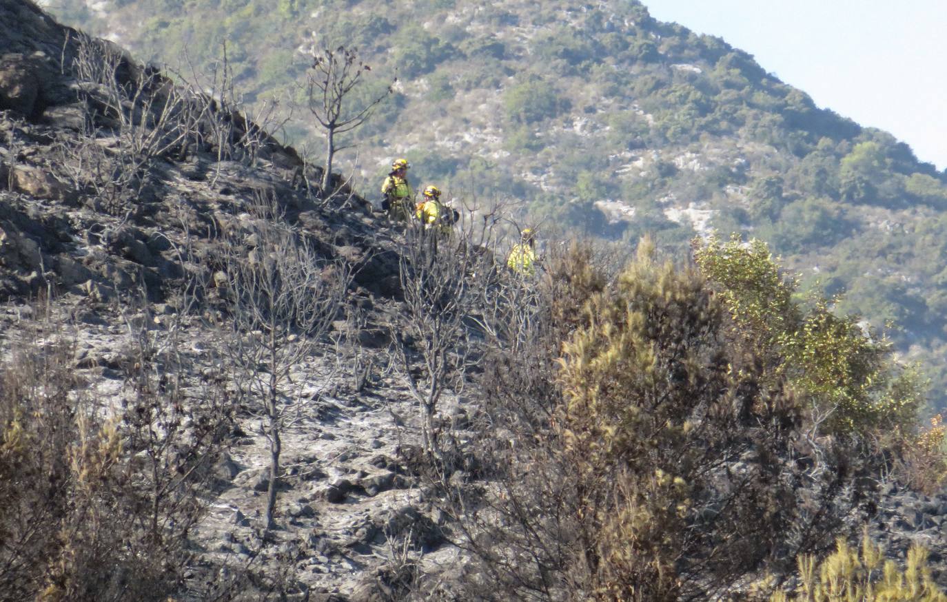 Incendio forestal en el paraje Sierra Blanca, en Ojén