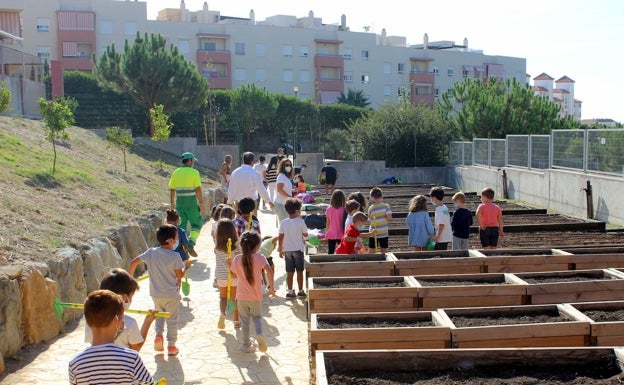 Estepona pone en marcha el primer huerto urbano escolar de la ciudad