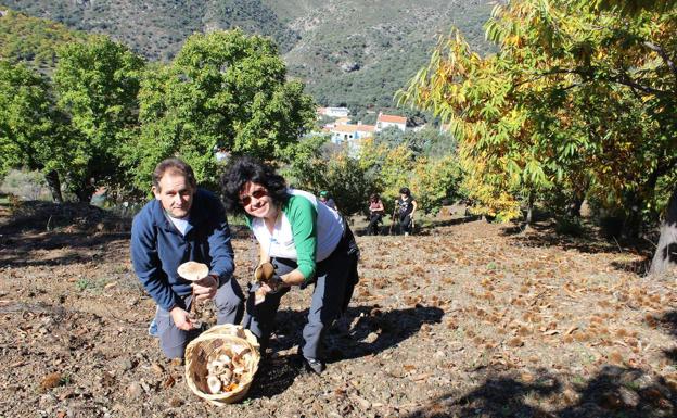 A buscar setas en Júzcar