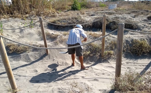 Ecologistas denuncian desbroces en las dunas de El Morche