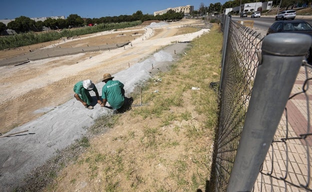 El huerto urbano de la Universidad de Málaga toma forma y añade otros 7.000 metros cuadrados