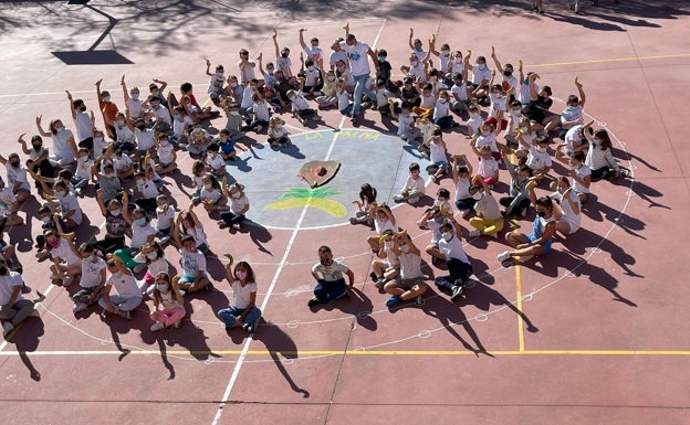 Mensajes en plátanos desde Colmenarejo a La Palma