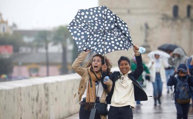 Aviso amarillo en buena parte de Andalucía este domingo por vientos y lluvia