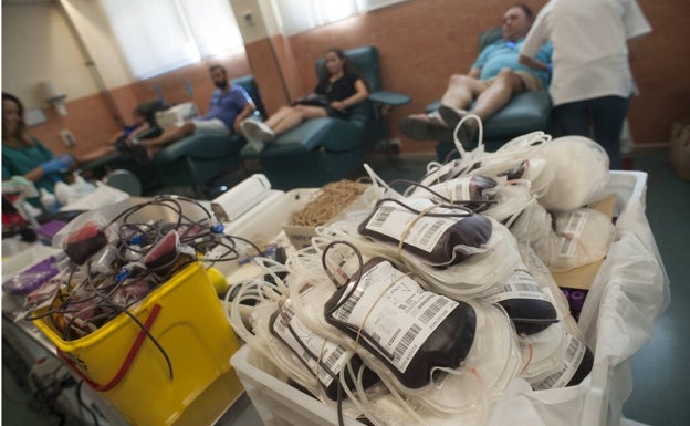 Comienza la campaña de donación de sangre y médula ósea en la Universidad de Málaga