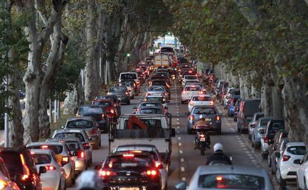 Málaga suspende en contaminación: hacen falta más zonas verdes y sobran coches