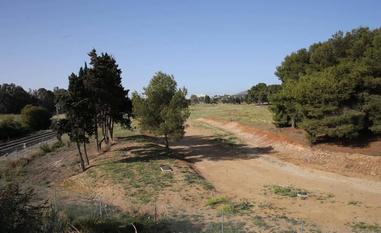 Hace ya más de una década que se anunció la adaptación de los suelos del Benítez para un parque./SUR