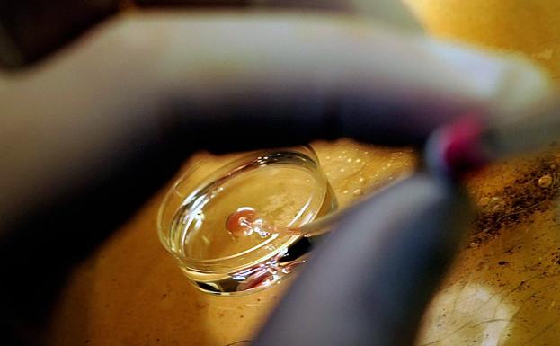 El BOE publica la orden ministerial que devuelve a las mujeres sin pareja, lesbianas y bisexuales el acceso a la reproducción asistida del SNS