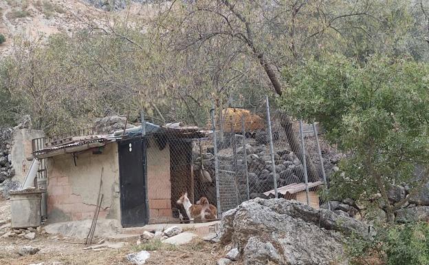 Recogen firmas contra el desmantelamiento exprés de corrales de animales en Montejaque