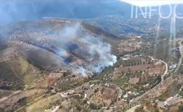 Extinguido el incendio forestal declarado este sábado en Alcaucín