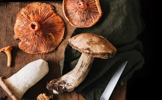 Setas en la cocina: disfrutando un manjar de otoño