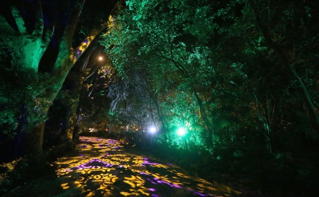 ¿Qué tiempo hará el primer fin de semana del alumbrado navideño en Málaga?