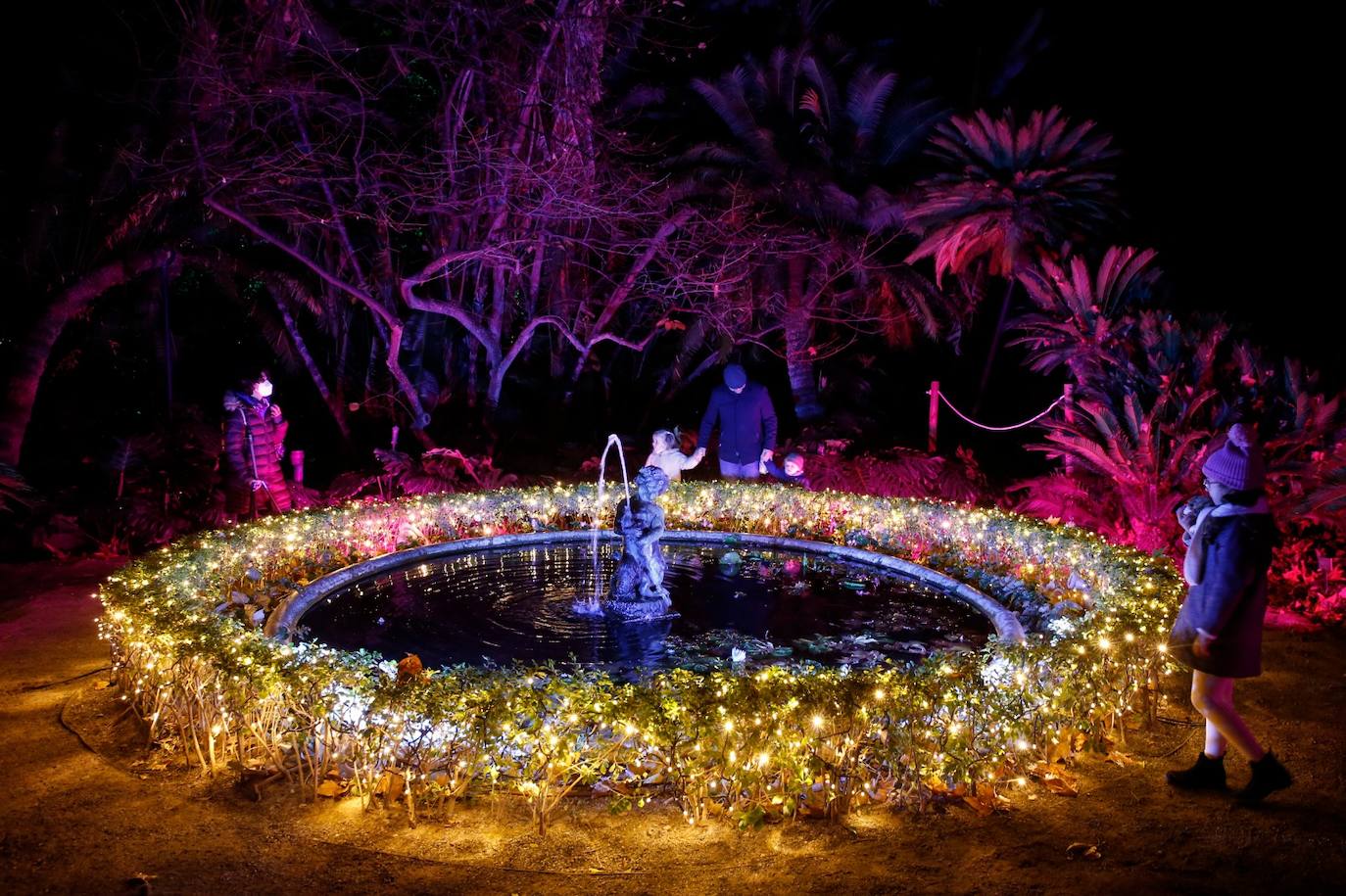 Estreno del espectáculo 'Luces en el Botánico'