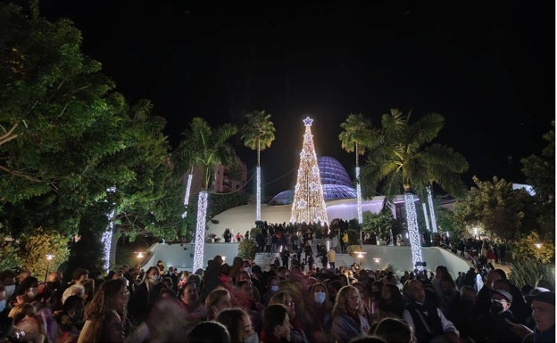 Estepona da la bienvenida a la Navidad con el encendido de sus luces