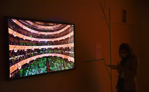 El arte de la ecología en el Pompidou: de Genalguacil como fondo a un concierto para plantas