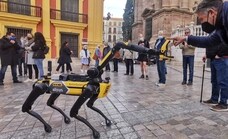 Un robot con forma de perro y un robot asistente asombran a los viandantes en la plaza del Obispo