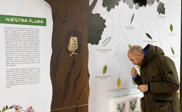 Rocódromo, tirolinas y pasarelas colgantes: el viaje por las alturas de Villanueva del Trabuco