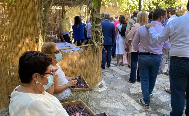 La uva pasa y el vino moscatel buscan un nuevo camino: proyectan un sendero circular en la Axarquía para disfrutarlos