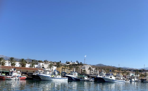 El temporal de levante deja amarrada a puerto a casi toda la flota pesquera de la provincia