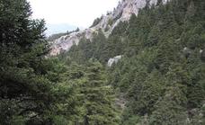 Comienza la mejora de equipamientos del Parque Nacional Sierra de las Nieves
