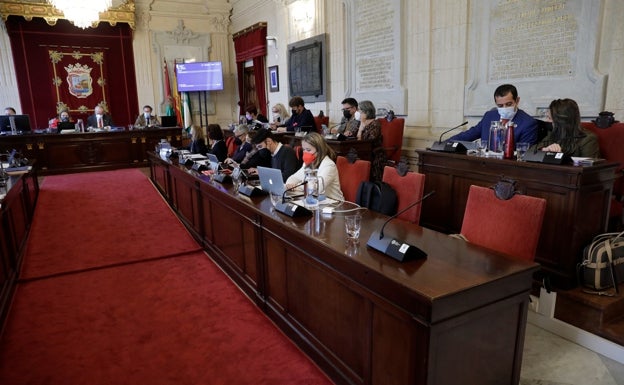 Díaz Ayuso triunfa en el pleno de Málaga con su medida de repartir test de antígenos gratuitos