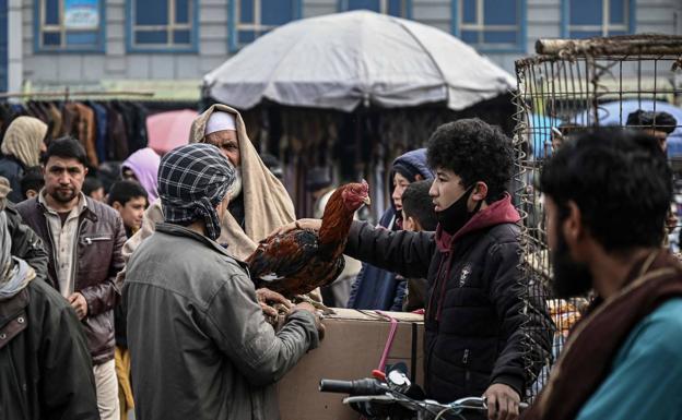 El miedo a la violencia y el colapso económico espolean el éxodo afgano