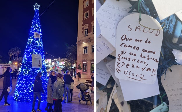 Denuncian los mensajes obscenos colgados del árbol solidario de Molina Lario