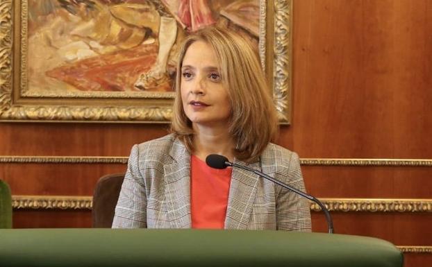 Ciudadanos presenta 20 propuestas a los presupuestos municipales de Marbella