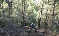 Un club senderista malagueño, premiado a nivel nacional por su labor de conservación de la Sierra de las Nieves