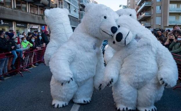 El oso 'perjudicado' de la cabalgata de Cádiz es malagueño