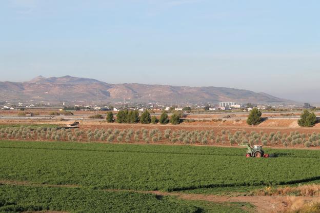 La falta de rentabilidad es cada vez más acuciante en el campo malagueño