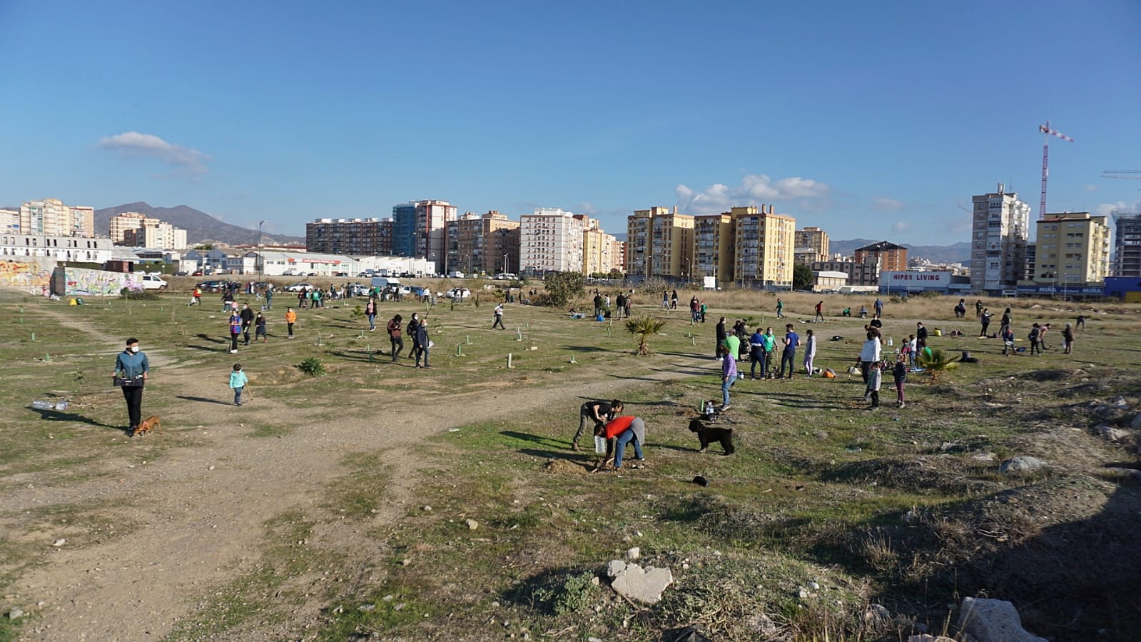 Pinos, alcornoques y encinas como antídotos a las torres en los terrenos de Repsol