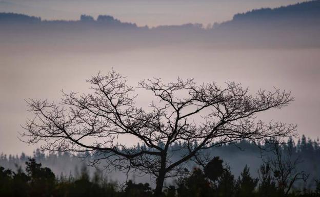 Once comunidades autónomas, en aviso por viento y bajas temperaturas este sábado