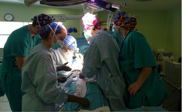 El Hospital Regional de Málaga hizo 186 trasplantes en 2021, un 18,5% más que el año anterior