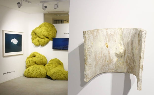 Arte contra el cambio climático en Málaga: de la música de las bacterias a una obra con hongos