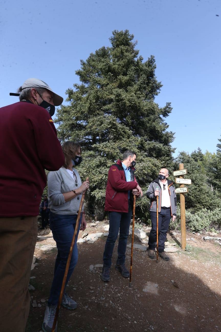 Pedro Sánchez visita el Parque Nacional de la Sierra de las Nieves
