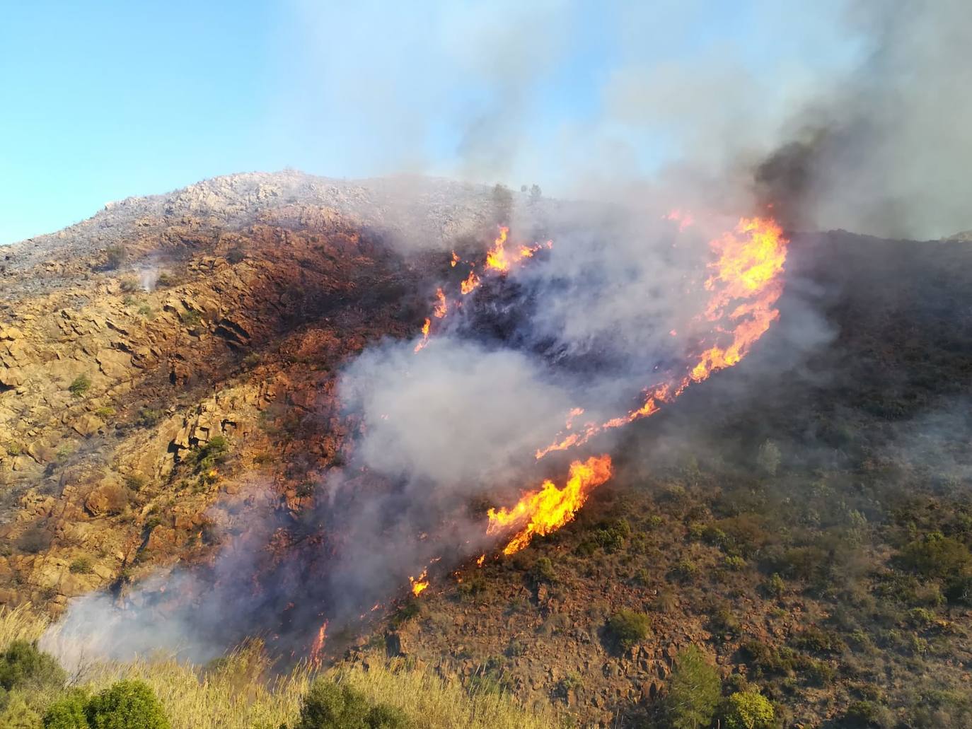 Extinguido el incendio forestal declarado este martes en Ojén