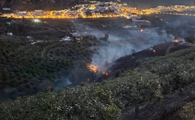 Oleada de incendios en la Axarquía con fuegos en Alcaucín, Vélez-Málaga, Torrox y Frigiliana